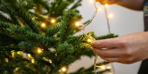 Φωτογραφία: Shutterstock