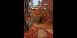 Δάσος Χαϊντού