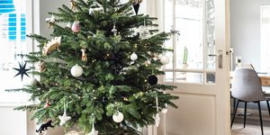 Χριστουγεννιάτικο δέντρο