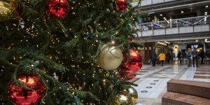 δεντρο σε mall