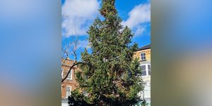 Φωτογραφία: Wisbech Town Council/Facebook