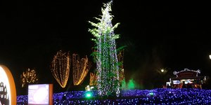 Δέντρο με φωτάκια στο Χριστουγεννιάτικο Χωριό