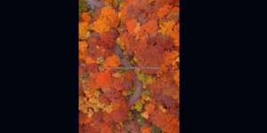 Διαδρομή Ελλάδα