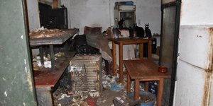 Man on Greek Island Faces Record €1.7 Million Fine for Animal Cruelty