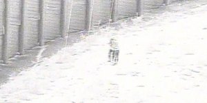 Καρέ από κλειστό κύκλωμα που εμφανίζει το πώς οι δύο έφηβοι στη Δυτική Όχθη πέταξαν βόμβα μολότοφ κι ύστερα έπεσαν νεκροί από ισραηλινά πυρά