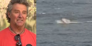 O 61χρονος Άντι ΜακΝτόναλντ ήρθε πρόσωπο με πρόσωπο με έναν λευκό καρχαρία