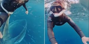 H στιγμή που η φάλαινα παραλίγο να καταπιεί τη δύτρια ανοικτά της Νορβηγίας 