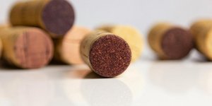 Φελλός/Φωτογραφία Unsplash