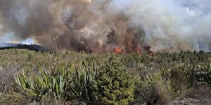 Μεγάλη πυρκαγιά σε εθνικό πάρκο της Νέας Ζηλανδίας