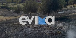 φωτιά νεκρός Εύβοια χωράφι