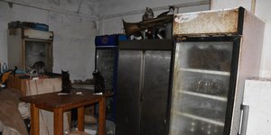 Γάτες Δονούσα