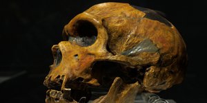  Σκελετός αποκαλύπτει πώς ανέπνεαν οι Νεάντερταλ