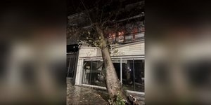 Πλατάνι έπεσε σε κατάστημα στην Ηγουμενίτσα