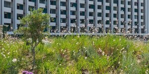 The Ilisian: Το εντυπωσιακό πράσινο rooftop που αλλάζει το πρόσωπο της Αθήνας