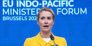 H Ύπατη Εκπρόσωπος της ΕΕ, Κάγια Κάλας