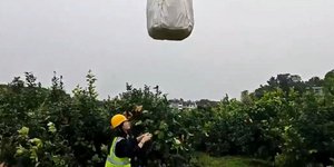 Η μεταφορά των φρεσκοκομμένων λεμονιών γίνεται με εξελιγμένα drone 