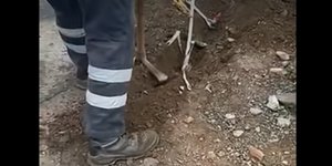 Κλοπή νερού στη Μάνδρα