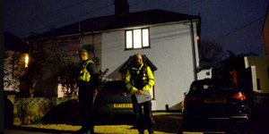 Σκύλος Ουαλία