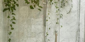 Αν ψάχνετε ένα φυτό για το μπάνιο σας, αυτό είναι το ιδανικό -Αγαπά την υγρασία