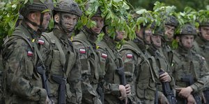 Πολωνοί στρατιώτες