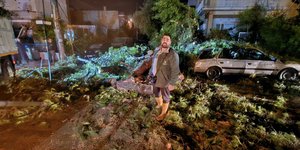 Πτώσεις δέντρων από την κακοκαιρία στην Κηφισιά