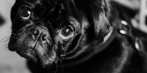 Γιατί κάποιοι λένε «συγγνώμη» χωρίς λόγο; Η ψυχολογία πίσω από την υπερβολική απολογία