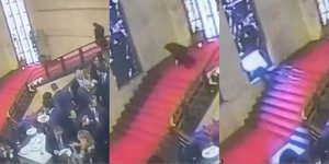 H στιγμή που ο πολιτικός σκοντάφτει και πέφτει πάνω σε ανεκτίμητο βιτρό κάνοντάς το θρύψαλα