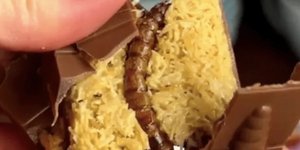 Σοκολάτα με αληθινές προνύμφες κάνει θραύση στην Ουκρανία