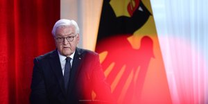 Ο ομοσπονδιακός πρόεδρος της Γερμανίας Φρανκ-Βάλτερ Σταϊνμάιερ