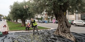 Θεσσαλονίκη 