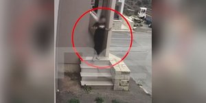 Βορίζια: Νέα βίντεο-ντοκουμέντα πριν και μετά την φονική βεντέτα στα Βορίζια -Αντιδράσεις και μυστηριώδεις κινήσεις