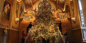 Το χριστουγεννιάτικο δέντρο στο Κάστρο του Ουίνδσορ/Φωτογραφία: Profimedia