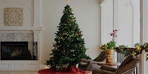 Χριστουγεννιάτικο δέντρο/Φωτογραφία Unsplash 