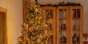 Χριστουγεννιάτικο δέντρο