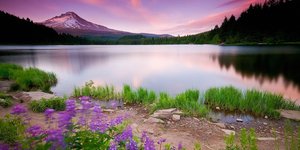 Η ιδέα ότι η ομορφιά σχετίζεται με την «τεμπελιά» ακούγεται προκλητική, σχεδόν αιρετική, σε έναν πολιτισμό που συνδέει το ωραίο με το βάθος, την πολυπλοκότητα και τη διανοητική προσπάθεια / SHUTTERSTOCK