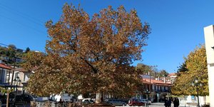 Ο Άγιος Πέτρος