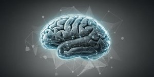 Φωτογραφία: shutterstock