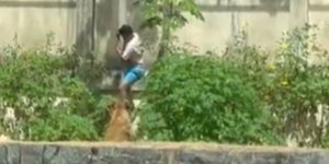 Η στιγμή της επίθεσης της λέαινας στον 19χρονο σε ζωολογικό κήπο στη Βραζιλία