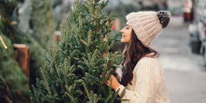 Η μυρωδιά του πεύκου έχει αποκτήσει σχεδόν... μυθικό κύρος ως φυσικό αντικαταθλιπτικό, ένα άρωμα που μπορεί να μεταμορφώσει τη διάθεση μέσα σε δευτερόλεπτα / SHUTTERSTOCK