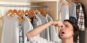 Επαγγελματίες καθαρισμού επισημαίνουν ότι μερικές απλές κινήσεις αρκούν για να προληφθεί το πρόβλημα πριν εγκατασταθεί / PEXELS