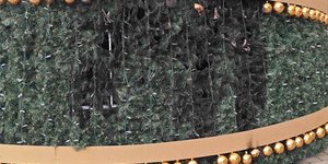 δεντρο χιος εμπρησμος