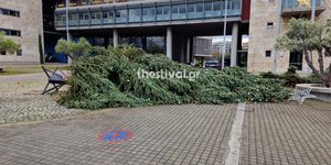 Κατέρρευσε το χριστουγεννιάτικο δέντρο