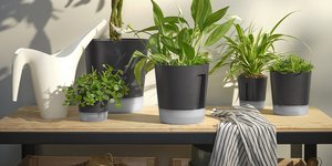 Φωτογραφία IKEA 