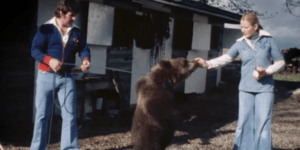 Ο αρκούδος με το όνομα Ηρακλής, μεγάλωσε με ένα ζευγάρι στη Σκωτία 