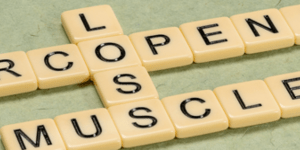 Σαρκοπενία: Γήρανση, απώλεια μυϊκής μάζας και νέα φαρμάκα για την παχυσαρκία