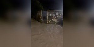 Καταφύγιο ζώων