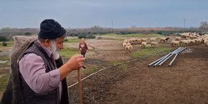 Ο κ. Θεοφίλου και η σύζυγός του αποχαιρετούν τα πρόβατά τους εξαιτίας της ευλογιάς