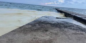 Τεράστιοι «λεκέδες» από ηλιέλαιο στο λιμάνι της Οδησσού, στην Ουκρανία