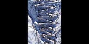 Σαλιγκάρια