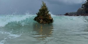 Το viral χριστουγεννιάτικο δέντρο μέσα στη θάλασσα